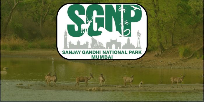 sanjay gandhi national park reviews